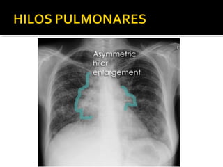 Aula prática de radiologia