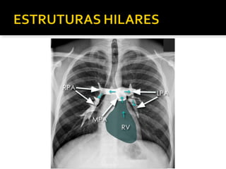 Aula prática de radiologia
