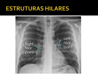 Aula prática de radiologia