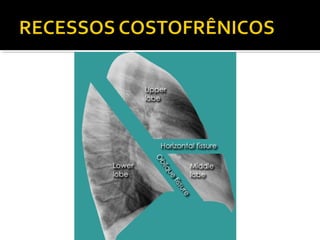 Aula prática de radiologia
