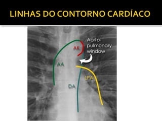 Aula prática de radiologia