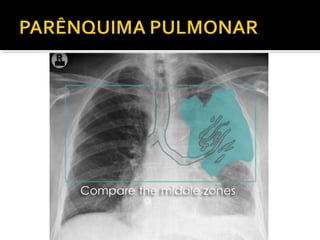 Aula prática de radiologia