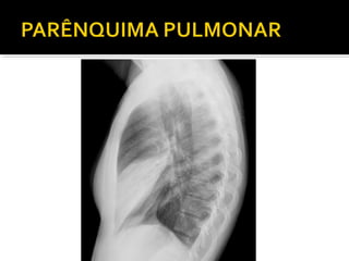 Aula prática de radiologia