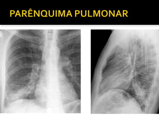 Aula prática de radiologia