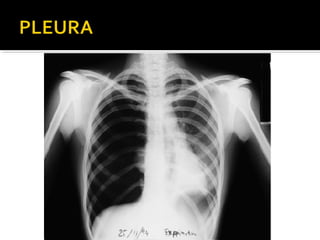 Aula prática de radiologia
