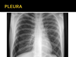 Aula prática de radiologia