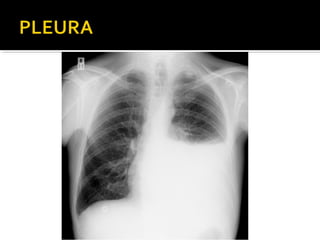 Aula prática de radiologia
