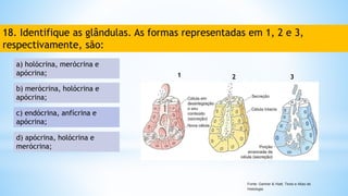 Quiz de Tecido Epitelial para disciplina de histologia | PPTX