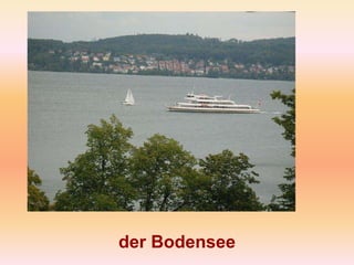der Bodensee
 