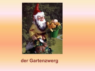 der Gartenzwerg
 
