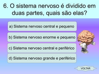 6. O sistema nervoso é dividido em
duas partes, quais são elas?
a) Sistema nervoso central e pequeno
b) Sistema nervoso enorme e pequeno
c) Sistema nervoso central e periférico
d) Sistema nervoso grande e periférico
VOLTAR

 