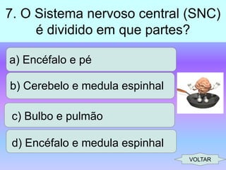 7. O Sistema nervoso central (SNC)
é dividido em que partes?
a) Encéfalo e pé
b) Cerebelo e medula espinhal
c) Bulbo e pulmão

d) Encéfalo e medula espinhal
VOLTAR

 
