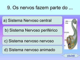9. Os nervos fazem parte do ...
a) Sistema Nervoso central
b) Sistema Nervoso periférico
c) Sistema nervoso nervoso
d) Sistema nervoso animado
VOLTAR

 