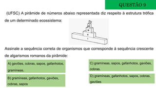 QUESTÃO 9
(UFSC) A pirâmide de números abaixo representada diz respeito à estrutura trófica
de um determinado ecossistema:
Assinale a sequência correta de organismos que corresponde à sequência crescente
de algarismos romanos da pirâmide:
A) gaviões, cobras, sapos, gafanhotos,
gramíneas.
B) gramíneas, gafanhotos, gaviões,
cobras, sapos
C) gramíneas, sapos, gafanhotos, gaviões,
cobras.
D) gramíneas, gafanhotos, sapos, cobras,
gaviões
 