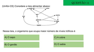QUESTÃO 11
(Unifor-CE) Considere a teia alimentar abaixo:
Nessa teia, o organismo que ocupa maior número de níveis tróficos é:
A) O sapo
B) O gavião
C) A cobra
D) O sabia
 