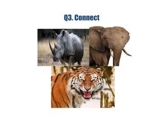 Q3. Connect
 