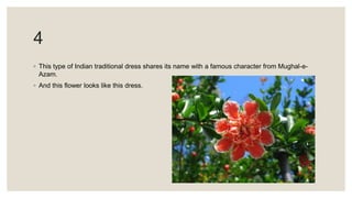4
◦ This type of Indian traditional dress shares its name with a famous character from Mughal-e-
Azam.
◦ And this flower looks like this dress.
 