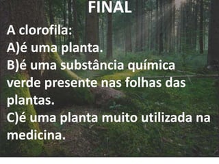 FINAL
A clorofila:
A)é uma planta.
B)é uma substância química
verde presente nas folhas das
plantas.
C)é uma planta muito utilizada na
medicina.
 