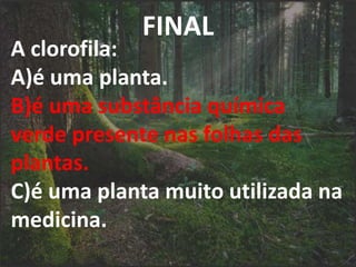 FINAL
A clorofila:
A)é uma planta.
B)é uma substância química
verde presente nas folhas das
plantas.
C)é uma planta muito utilizada na
medicina.
 
