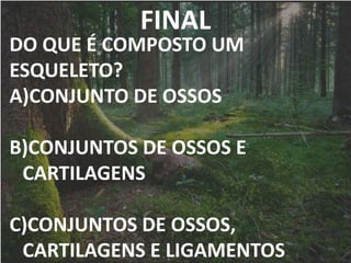 FINAL
DO QUE É COMPOSTO UM
ESQUELETO?
A)CONJUNTO DE OSSOS
B)CONJUNTOS DE OSSOS E
CARTILAGENS
C)CONJUNTOS DE OSSOS,
CARTILAGENS E LIGAMENTOS
 
