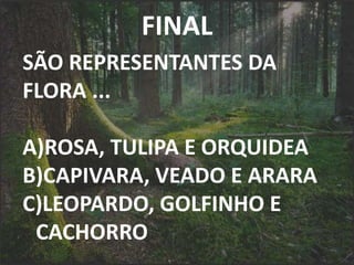 FINAL
SÃO REPRESENTANTES DA
FLORA ...
A)ROSA, TULIPA E ORQUIDEA
B)CAPIVARA, VEADO E ARARA
C)LEOPARDO, GOLFINHO E
CACHORRO
 