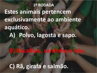 1º RODADA
Estes animais pertencem
exclusivamente ao ambiente
aquático.
A) Polvo, lagosta e sapo.
B) Bacalhau, sardinha e lula.
C) Rã, girafa e salmão.
 