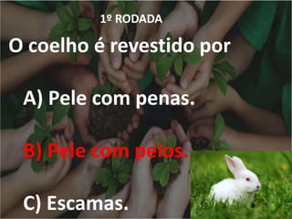 1º RODADA
O coelho é revestido por
A) Pele com penas.
B) Pele com pelos.
C) Escamas.
 