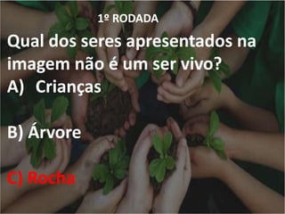 1º RODADA
Qual dos seres apresentados na
imagem não é um ser vivo?
A) Crianças
B) Árvore
C) Rocha
 