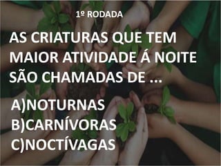 1º RODADA
AS CRIATURAS QUE TEM
MAIOR ATIVIDADE Á NOITE
SÃO CHAMADAS DE ...
A)NOTURNAS
B)CARNÍVORAS
C)NOCTÍVAGAS
 