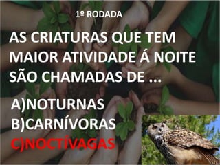 1º RODADA
AS CRIATURAS QUE TEM
MAIOR ATIVIDADE Á NOITE
SÃO CHAMADAS DE ...
A)NOTURNAS
B)CARNÍVORAS
C)NOCTÍVAGAS
 