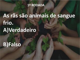 1º RODADA
As rãs são animais de sangue
frio.
A)Verdadeiro
B)Falso
 