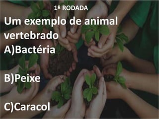 1º RODADA
Um exemplo de animal
vertebrado
A)Bactéria
B)Peixe
C)Caracol
 