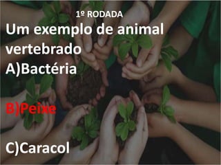 1º RODADA
Um exemplo de animal
vertebrado
A)Bactéria
B)Peixe
C)Caracol
 