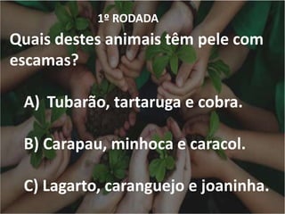 1º RODADA
Quais destes animais têm pele com
escamas?
A) Tubarão, tartaruga e cobra.
B) Carapau, minhoca e caracol.
C) Lagarto, caranguejo e joaninha.
 