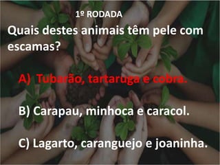1º RODADA
Quais destes animais têm pele com
escamas?
A) Tubarão, tartaruga e cobra.
B) Carapau, minhoca e caracol.
C) Lagarto, caranguejo e joaninha.
 