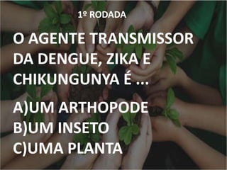 1º RODADA
O AGENTE TRANSMISSOR
DA DENGUE, ZIKA E
CHIKUNGUNYA É ...
A)UM ARTHOPODE
B)UM INSETO
C)UMA PLANTA
 