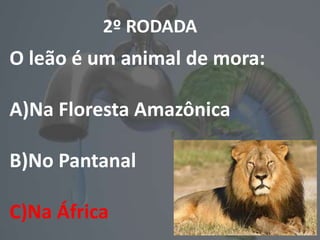 2º RODADA
O leão é um animal de mora:
A)Na Floresta Amazônica
B)No Pantanal
C)Na África
 