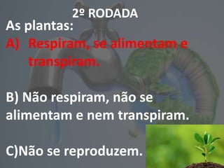 2º RODADA
As plantas:
A) Respiram, se alimentam e
transpiram.
B) Não respiram, não se
alimentam e nem transpiram.
C)Não se reproduzem.
 