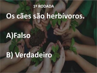 1º RODADA
Os cães são herbívoros.
A)Falso
B) Verdadeiro
 