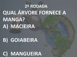 2º RODADA
QUAL ÁRVORE FORNECE A
MANGA?
A) MACIEIRA
B) GOIABEIRA
C) MANGUEIRA
 