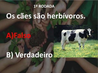 1º RODADA
Os cães são herbívoros.
A)Falso
B) Verdadeiro
 