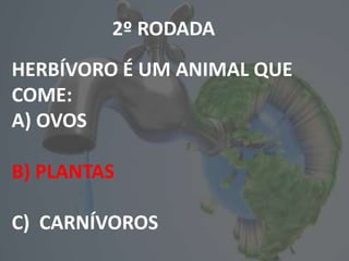 2º RODADA
HERBÍVORO É UM ANIMAL QUE
COME:
A) OVOS
B) PLANTAS
C) CARNÍVOROS
 