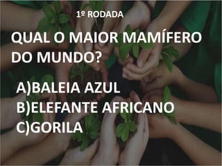 1º RODADA
QUAL O MAIOR MAMÍFERO
DO MUNDO?
A)BALEIA AZUL
B)ELEFANTE AFRICANO
C)GORILA
 