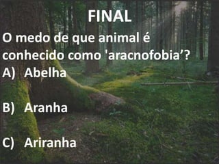 FINAL
O medo de que animal é
conhecido como 'aracnofobia’?
A) Abelha
B) Aranha
C) Ariranha
 