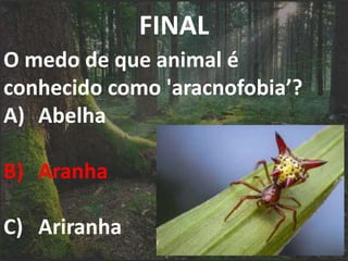FINAL
O medo de que animal é
conhecido como 'aracnofobia’?
A) Abelha
B) Aranha
C) Ariranha
 