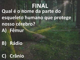 FINAL
Qual é o nome da parte do
esqueleto humano que protege
nosso cérebro?
A) Fêmur
B) Rádio
C) Crânio
 