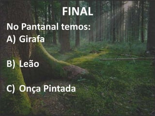 FINAL
No Pantanal temos:
A) Girafa
B) Leão
C) Onça Pintada
 