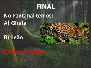 FINAL
No Pantanal temos:
A) Girafa
B) Leão
C) Onça Pintada
 