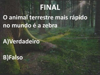 FINAL
O animal terrestre mais rápido
no mundo é a zebra.
A)Verdadeiro
B)Falso
 