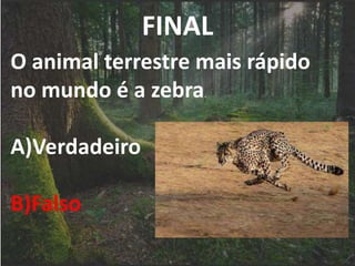 FINAL
O animal terrestre mais rápido
no mundo é a zebra.
A)Verdadeiro
B)Falso
 